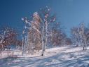 photo 05