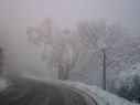 photo 08