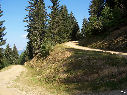 photo 03