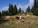 photo 08