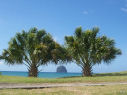 Martinique, photo 11 photo 11